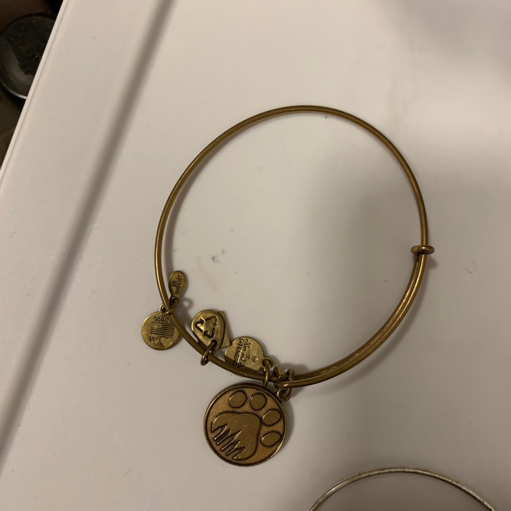 alex and ani braclet